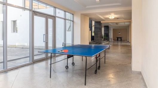 Настольный теннис